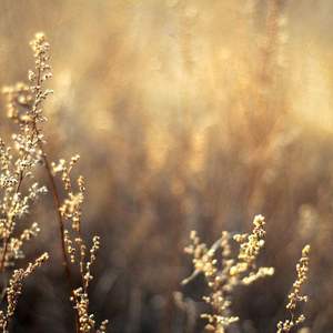 张泽禹小玩具自慰
